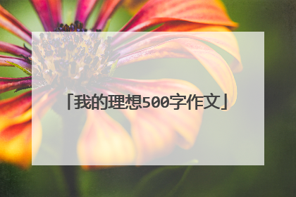 我的理想500字作文