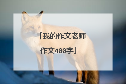 我的作文老师作文400字