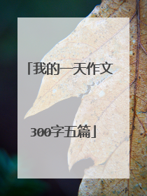 我的一天作文300字五篇