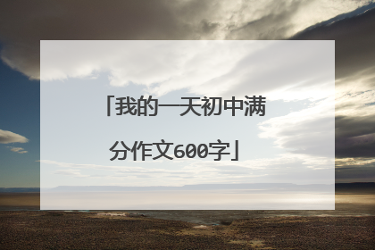 我的一天初中满分作文600字