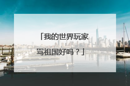 我的世界玩家骂祖国好吗？