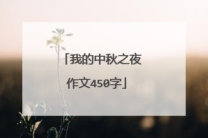 我的中秋之夜作文450字
