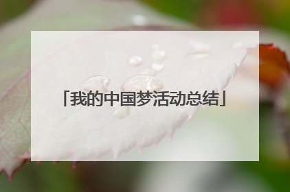我的中国梦活动总结