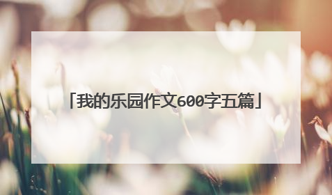 我的乐园作文600字五篇