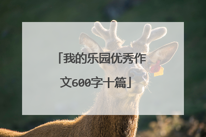 我的乐园优秀作文600字十篇