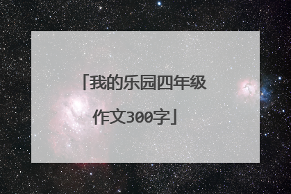 我的乐园四年级作文300字