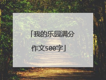 我的乐园满分作文500字