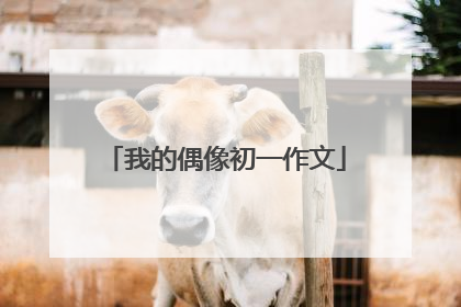 我的偶像初一作文