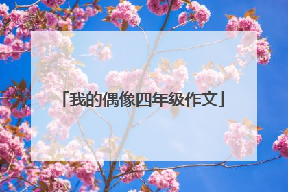 我的偶像四年级作文