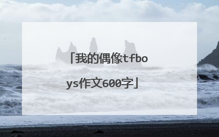 我的偶像tfboys作文600字