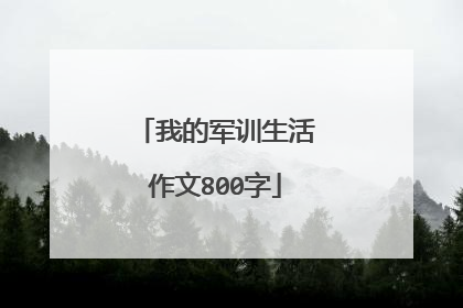 我的军训生活作文800字