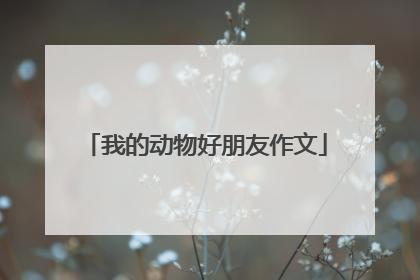 我的动物好朋友作文