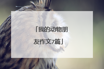 我的动物朋友作文7篇