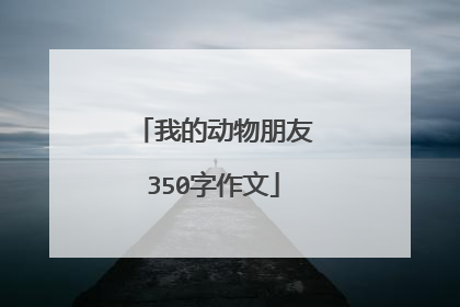 我的动物朋友350字作文
