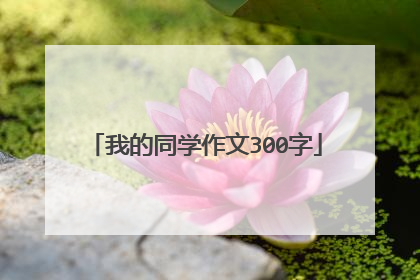 我的同学作文300字