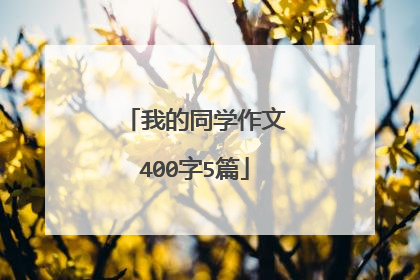 我的同学作文400字5篇