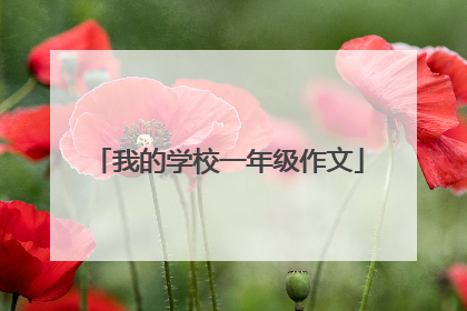 我的学校一年级作文