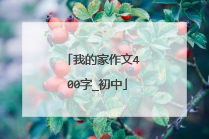 我的家作文400字_初中