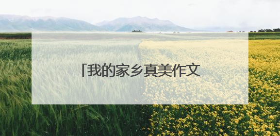 我的家乡真美作文_描写家乡的风景作文400字10篇