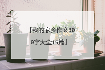 我的家乡作文300字大全15篇