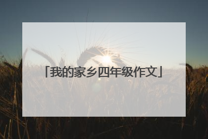 我的家乡四年级作文