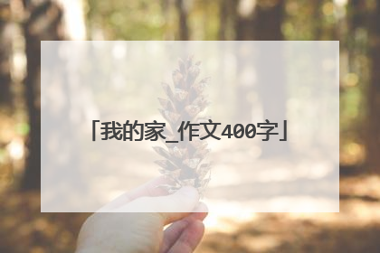 我的家_作文400字