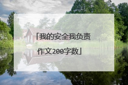 我的安全我负责作文200字数