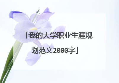 我的大学职业生涯规划范文2000字