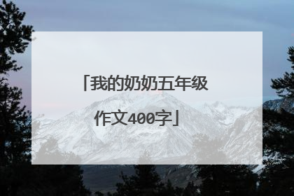 我的奶奶五年级作文400字