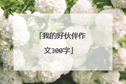 我的好伙伴作文300字