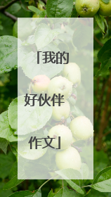 我的好伙伴作文