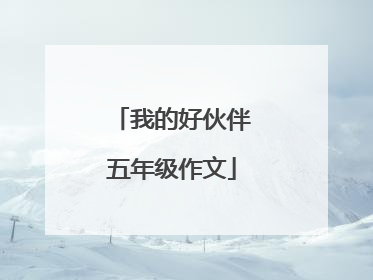 我的好伙伴五年级作文