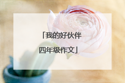 我的好伙伴四年级作文