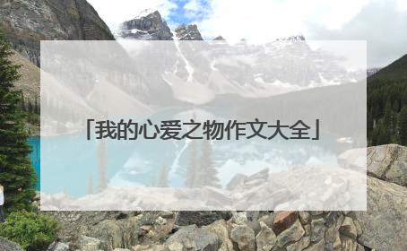 我的心爱之物作文大全