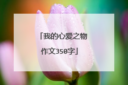 我的心爱之物作文350字