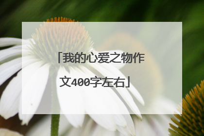 我的心爱之物作文400字左右