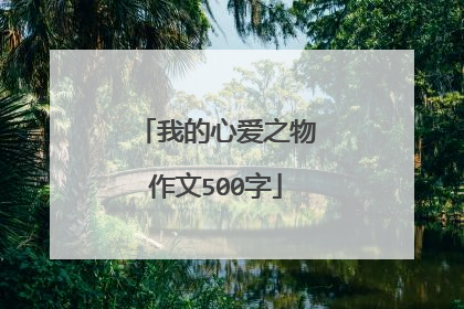 我的心爱之物作文500字