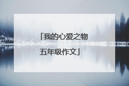 我的心爱之物五年级作文