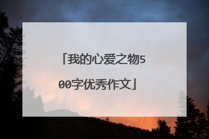 我的心爱之物500字优秀作文