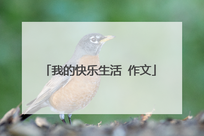 我的快乐生活 作文
