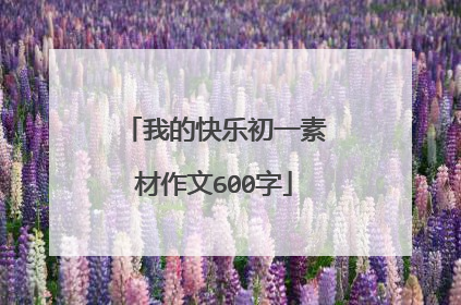 我的快乐初一素材作文600字