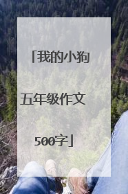 我的小狗五年级作文500字
