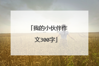 我的小伙伴作文300字