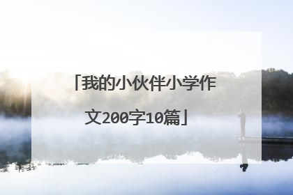 我的小伙伴小学作文200字10篇