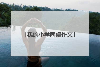 我的小学同桌作文