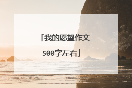 我的愿望作文500字左右