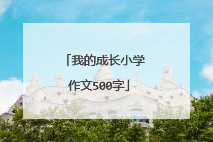 我的成长小学作文500字