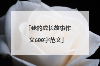 我的成长故事作文600字范文