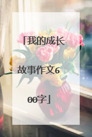 我的成长故事作文600字
