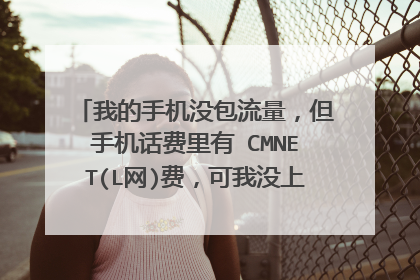 我的手机没包流量，但手机话费里有 CMNET(L网)费，可我没上网啊 是咋回事？